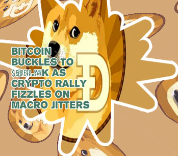 Bitcoin dogecoin crypto services big drops