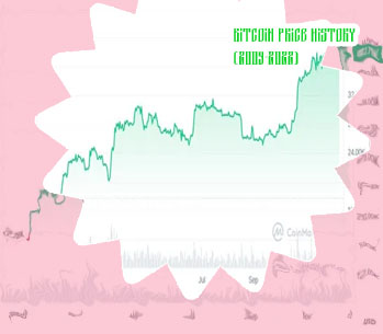 Bitcoin first year