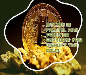 Bitcoin price august