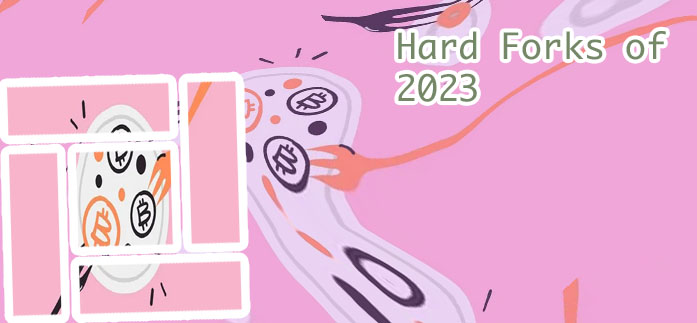 Hard fork crypto
