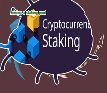 Stake in crypto