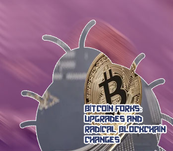What is a fork in cryptocurrency
